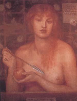 Dante Gabriel Rossetti Study for Venus Verticordia (mk28) oil painting picture
